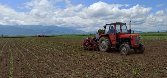 Кои се новите владини одлуки за државното земјоделско земјиште и руралниот развој?
