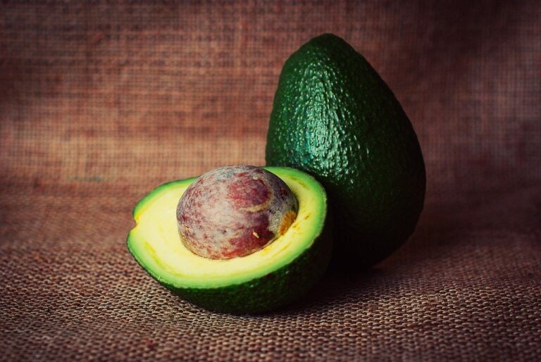 zdrava hrana avocado