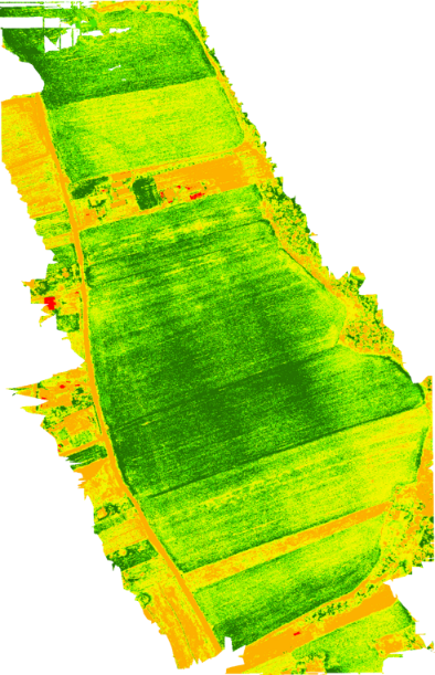 NDVI drone image