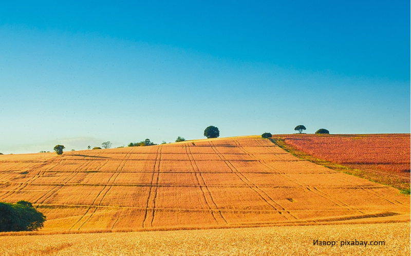 Зошто се актуелни националните стратегиски планови за земјоделската политика во ЕУ?
