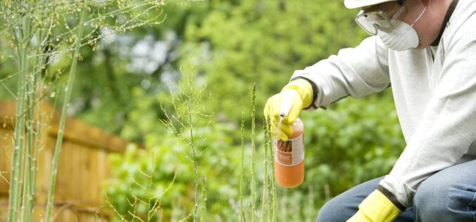 Дали ЕУ ќе го запре извозот на забранети пестициди по јавниот притисок?