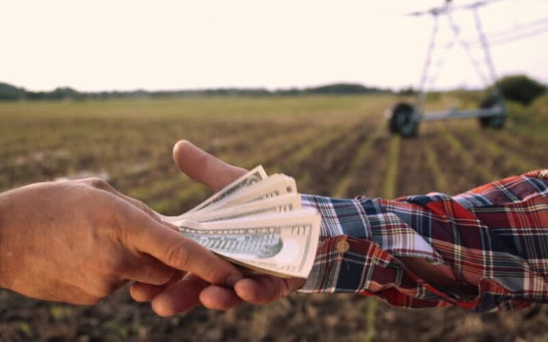 Исплатени речиси 1 милион евра субвенции на над 2000 земјоделци