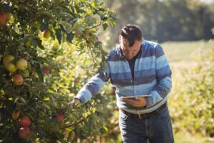 Овошје фармер јаболка таблет прецизно земјоделство