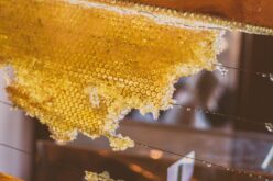 Дали пчеларите ќе плаќаат пашарина ако нивните пчели се хранат на државните пасишта?