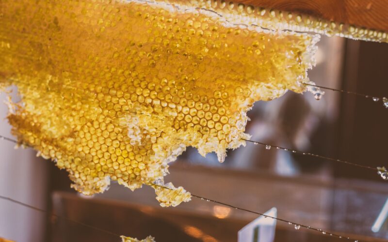 Дали пчеларите ќе плаќаат пашарина ако нивните пчели се хранат на државните пасишта?