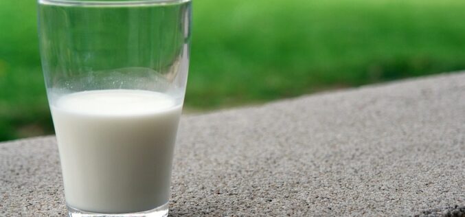 Цената на млекото и млечните производи сè уште се во постојан раст