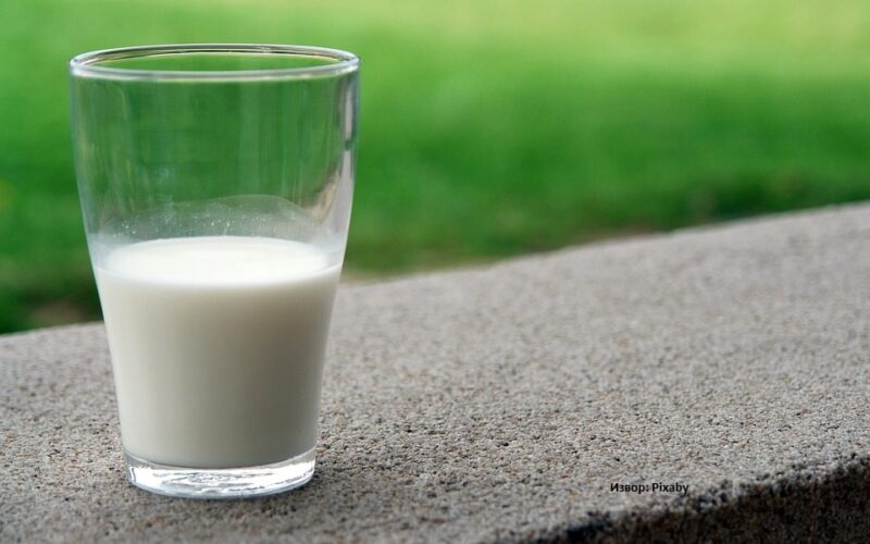 Цената на млекото и млечните производи сè уште се во постојан раст