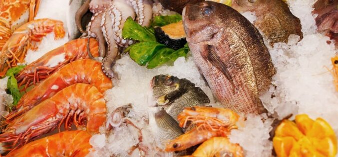 Ќе снема ли риба и морска храна – Една третина може да исчезне засекогаш