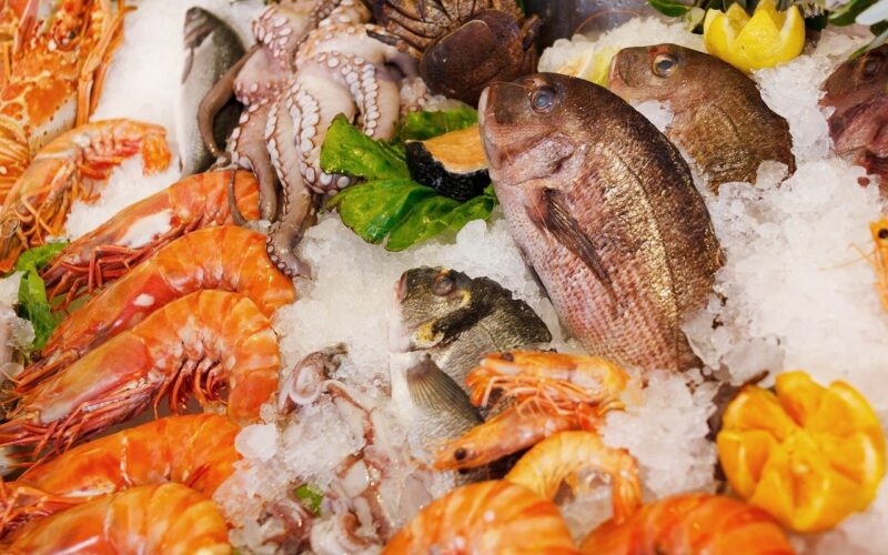 Ќе снема ли риба и морска храна – Една третина може да исчезне засекогаш