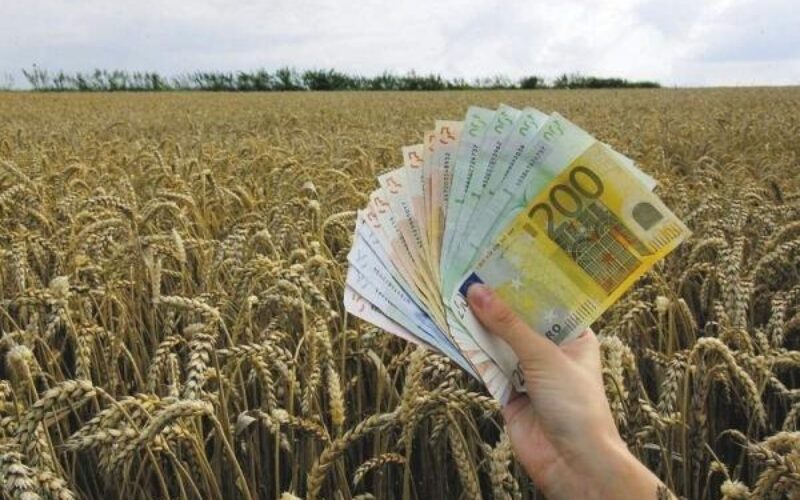 Ќе се „офајдат” ли земјоделците од ребалансот на Буџетот?