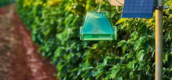 Гиганти во заштитата на растенијата со нов проект за автоматско препознавање на штетници
