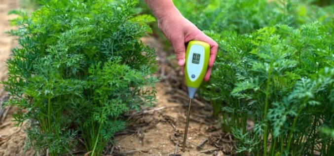 Како пХ вредноста на почвата влијае на растот и развојот на растенијата во земјоделството?