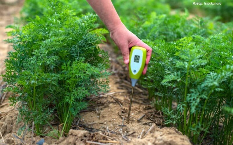 Како пХ вредноста на почвата влијае на растот и развојот на растенијата во земјоделството?