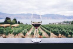Зошто е здраво да се пие една чаша црвено вино дневно?