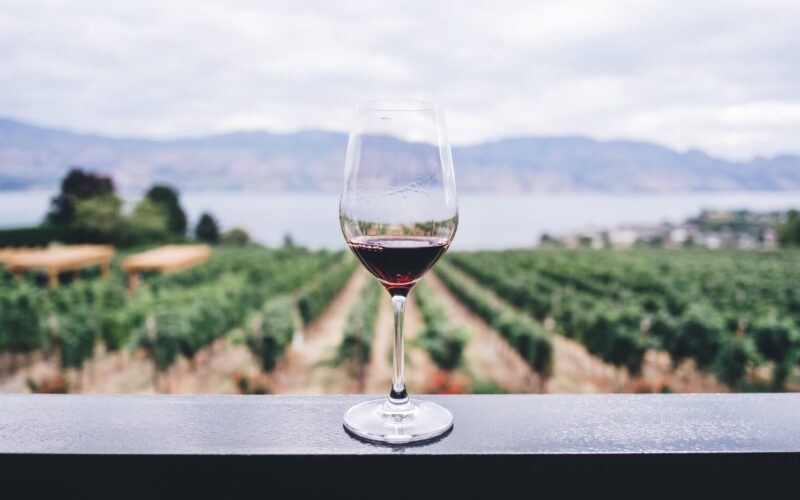 Зошто е здраво да се пие една чаша црвено вино дневно?