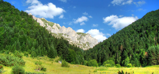 Шар Планина го доби статусот на национален парк