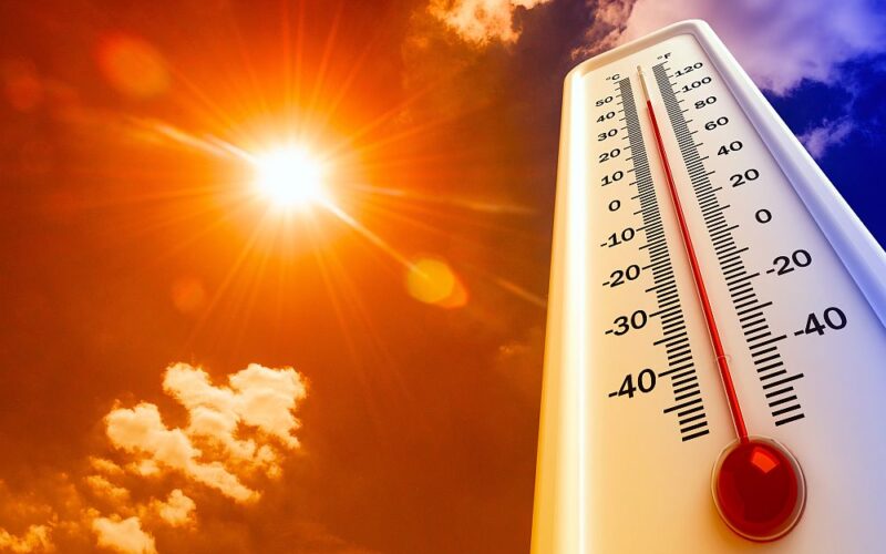 Како да се справите со летните горештини, што треба да содржи идеалното летно мени?