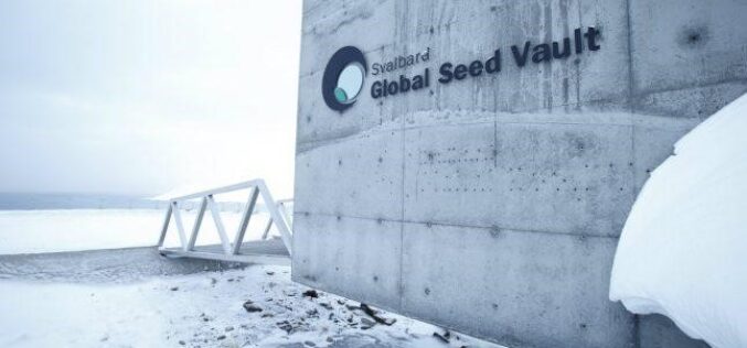 Над милион различни видови на семиња во глобалниот сеф за семиња – зошто е битен Свалбард сефот за човековата иднина?