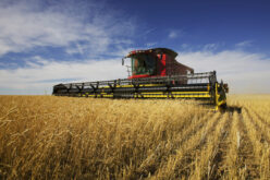 Има ли резервна опција за европските житници – Индија може да компензира дел од глобалниот недостиг на пченица