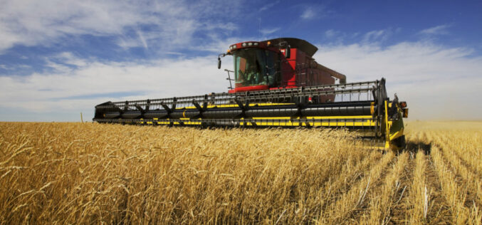 Има ли резервна опција за европските житници – Индија може да компензира дел од глобалниот недостиг на пченица