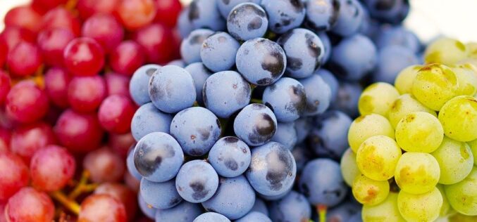 Кои се придобивките од грозјето – Вкусно, енергично и освежително