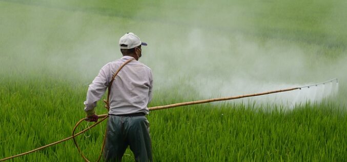 НВО: Oстатоци од пестициди во две третини од неорганските зеленчук и овошје