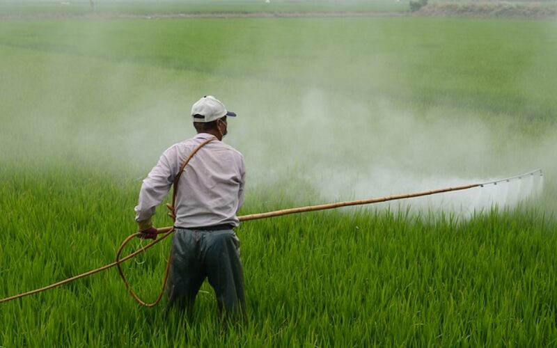 НВО: Oстатоци од пестициди во две третини од неорганските зеленчук и овошје