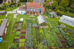 Принципите на пермакултурата – Создавање на еколошко земјоделско стопанство отпорно на климатските промени