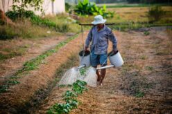 АФПЗРР: Земјоделците кои се корисници на субвенции да ги ажурираат податоците