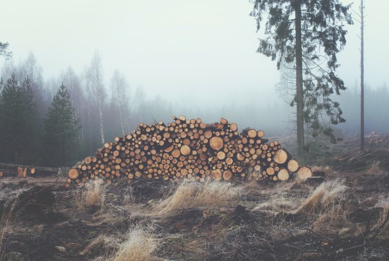 пад на шумското производство