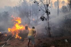 Забрането движење во шумите, апели да не се палат стрништа – Расте ризикот од нови пожари