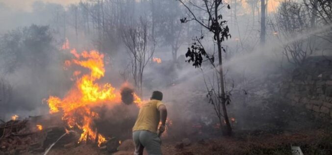 Забрането движење во шумите, апели да не се палат стрништа – Расте ризикот од нови пожари