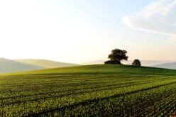 Консолидација на земјоделско земјиште и во Битолско Логоварди