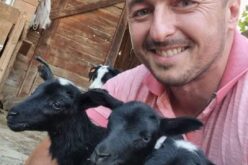 Фармер на денот: Саше Китановски големата љубов кон животните ја претвори во фармерски бизнис