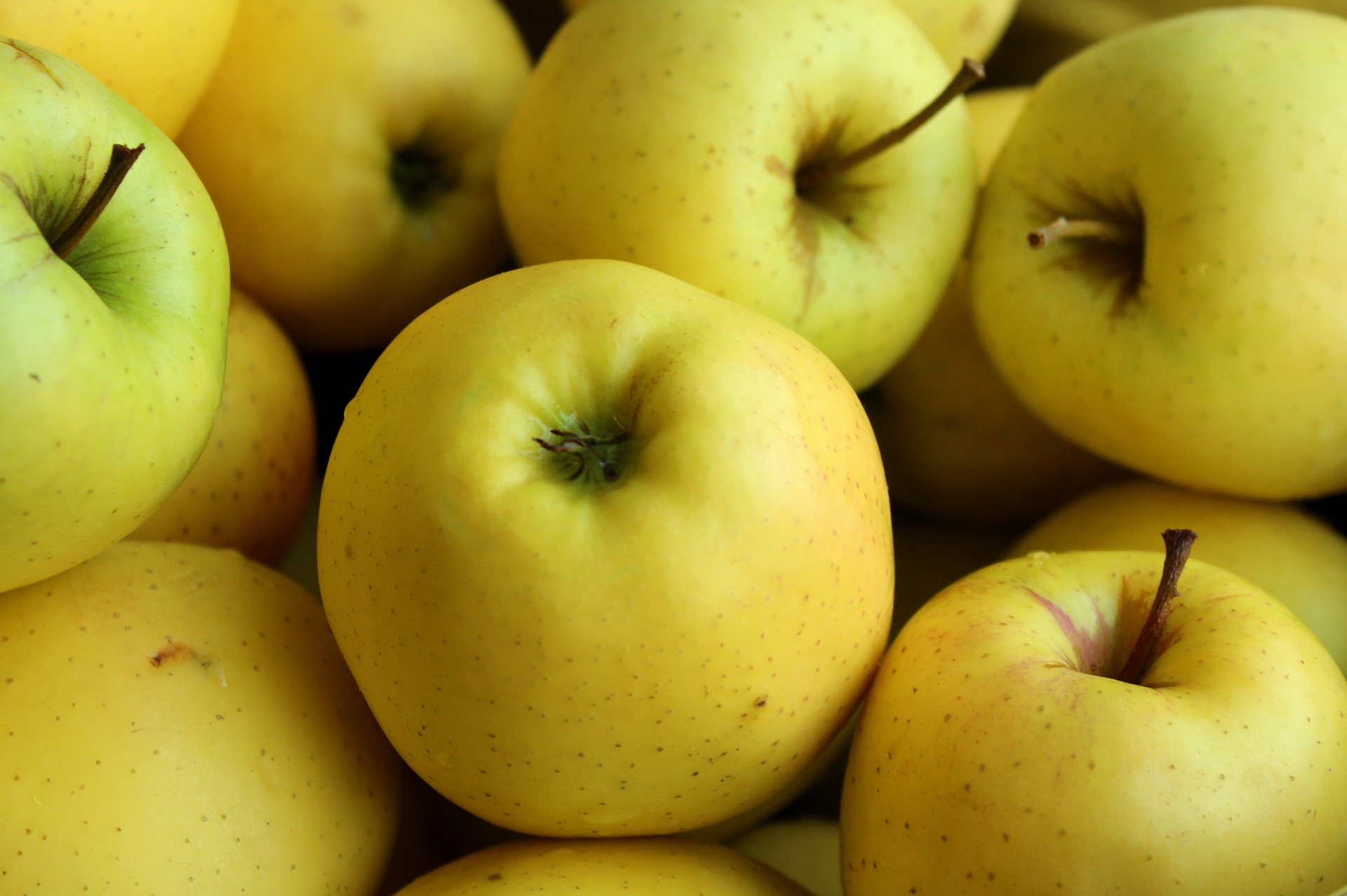 јаболко здравје