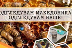 „ОДГЛЕДУВАМ МАКЕДОНИКА, ОДГЛЕДУВАМ НАШЕ!” – Кампања за заштита на автохтоната македонска медоносна пчела