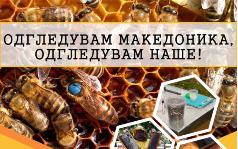 „ОДГЛЕДУВАМ МАКЕДОНИКА, ОДГЛЕДУВАМ НАШЕ!” – Кампања за заштита на автохтоната македонска медоносна пчела