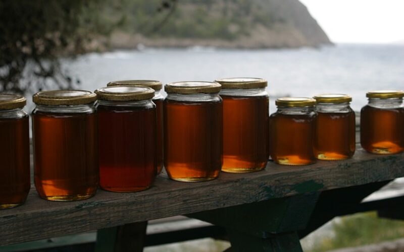 Пчелите и медот да бидат заштитени со закон, граѓаните да се обучат како се препознава вистински мед