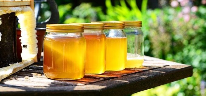 Во Кочани се одржа 23. манифестација „Денови на медот”