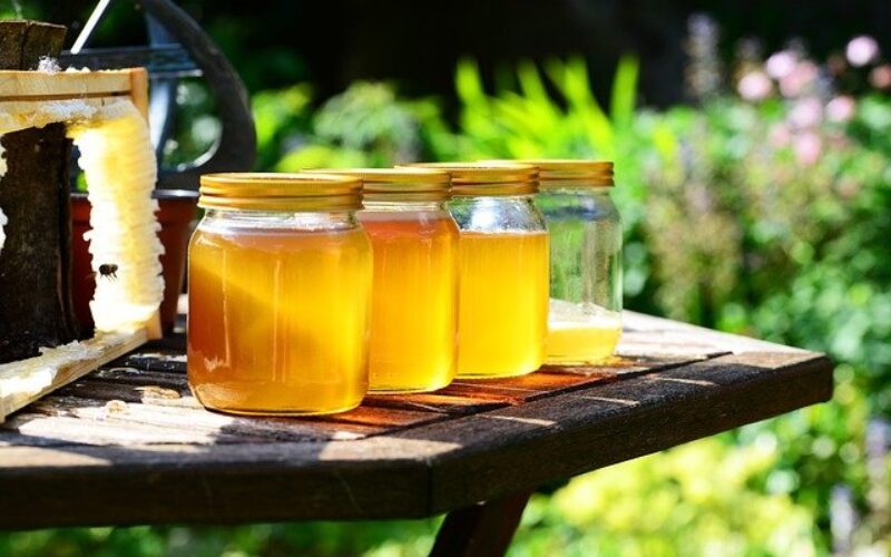 Во Кочани се одржа 23. манифестација „Денови на медот”