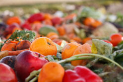 Отпадот од храна може да ни ја уништи планетата, земјоделството одговорно за третина од стакленичките гасови