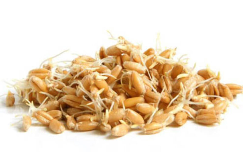 Пченичните никулци – богат извор на микронутриенти