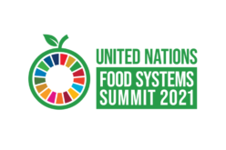 САД преземаат лидерска улога на Самитот за системи за храна на ОН