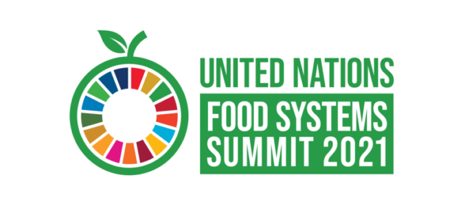 САД преземаат лидерска улога на Самитот за системи за храна на ОН