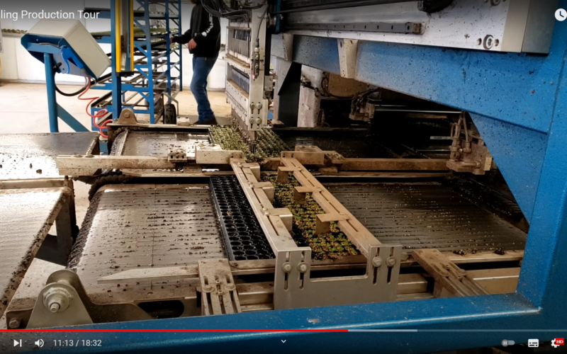 (Видео) Автоматизирано производство на расад