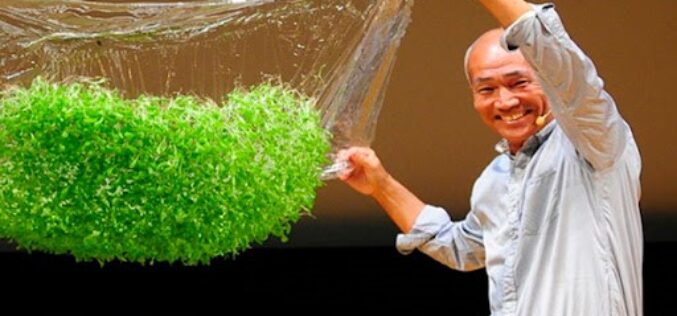 (Видео) Јапонско револуционерно откритие – полимерена лента како замена за почва