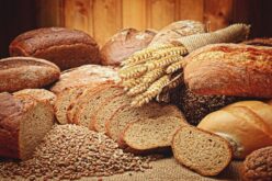 Домашниот леб сè повеќе зависен од увозна пченица