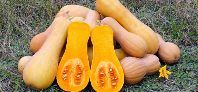 Жолто портокаловите нијанси на омилената есенска намирница кријат многу здрави состојки