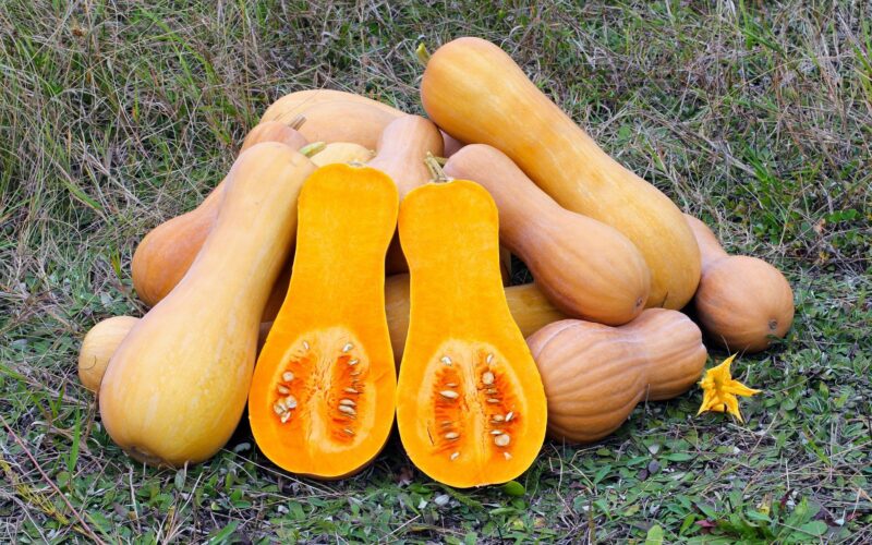 Жолто портокаловите нијанси на омилената есенска намирница кријат многу здрави состојки