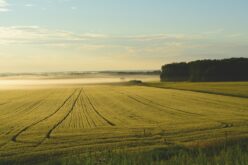 Европскиот парламент ја одобри Програмата на ЕУ за субвенционирање на земјоделството